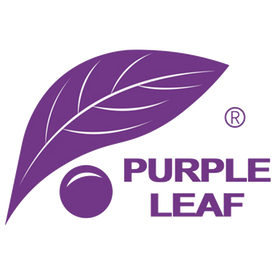 PURPLE LEAF SPAIN